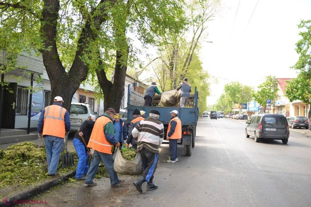 Crengile rupte și copacii doborâți, evacuați de pe 80% dintre străzile Chișinăului. Operațiunea de CURĂȚIRE a capitalei continuă si astăzi