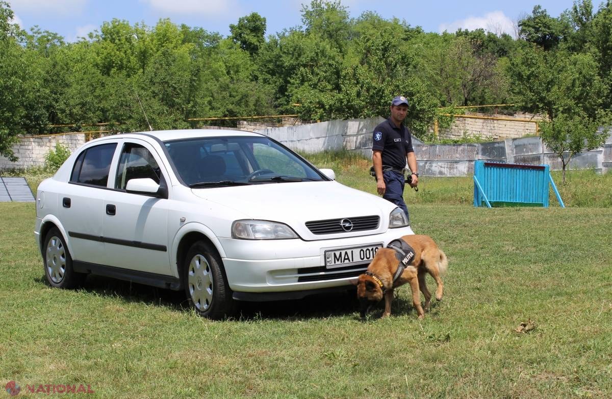Câinii de pe urmele infractorilor au celebrat  Ziua Internațională a Chinologilor