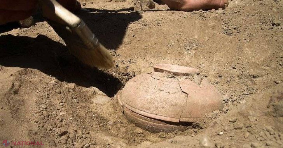 Au găsit o oală de lut, veche de 800 ani. Înăuntru, seminţe. Le-au plantat şi… Ce a răsărit 