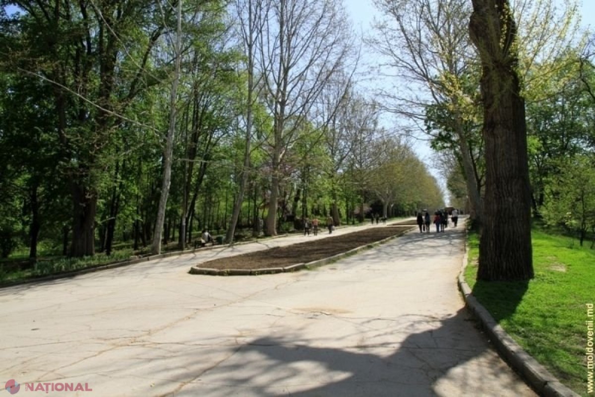 Parcurile „Valea Trandafirilor” şi „La Izvor” vor fi REABILITATE: Piste pentru bicicliști