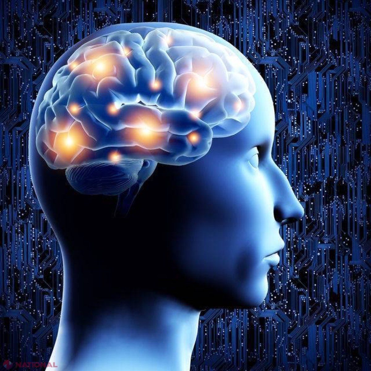 Ce trebuie să faci ca să-ţi PROTEJEZI creierul de Alzheimer