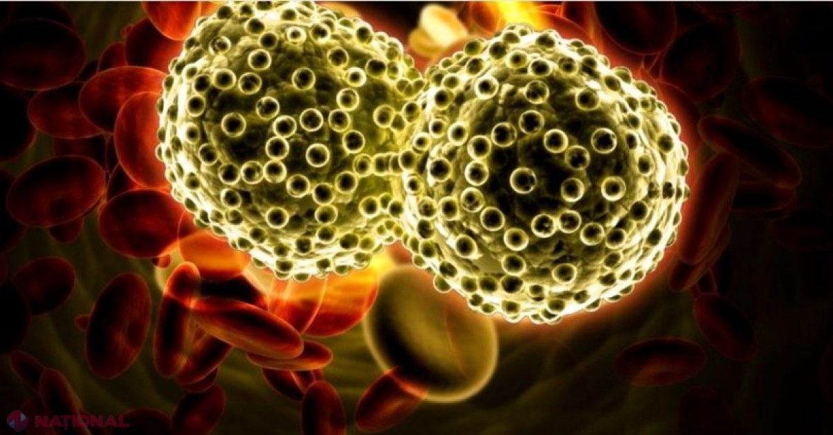 Un vaccin personalizat împotriva cancerului s-a dovedit a fi SIGUR și PROMIȚĂTOR