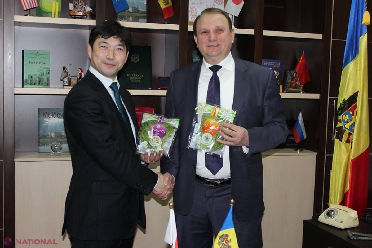 INVESTIȚIE URIAȘĂ pentru a crea o SERĂ UNICĂ în R. Moldova! „Japonezii știu de ce!”