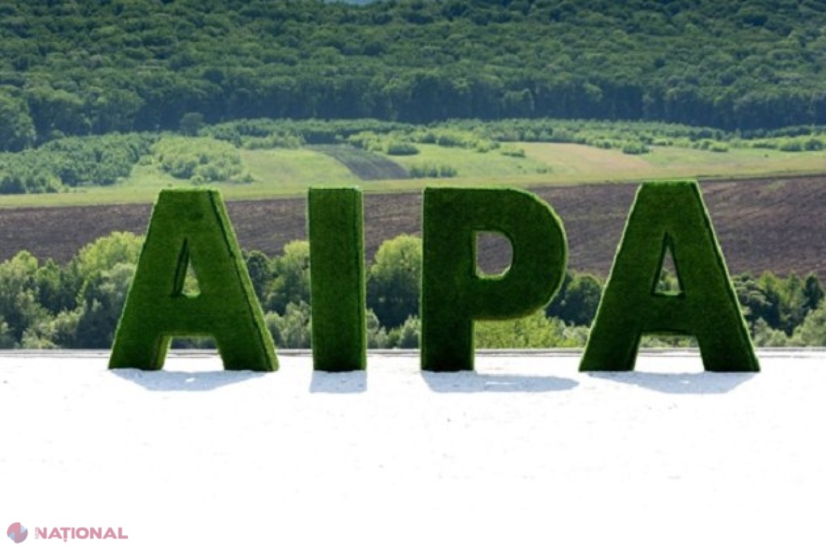 PERCHEZIȚII // Angajați ai AIPA, suspectați de depășirea atribuțiilor de serviciu la acordarea subvențiilor de la stat pentru agricultori