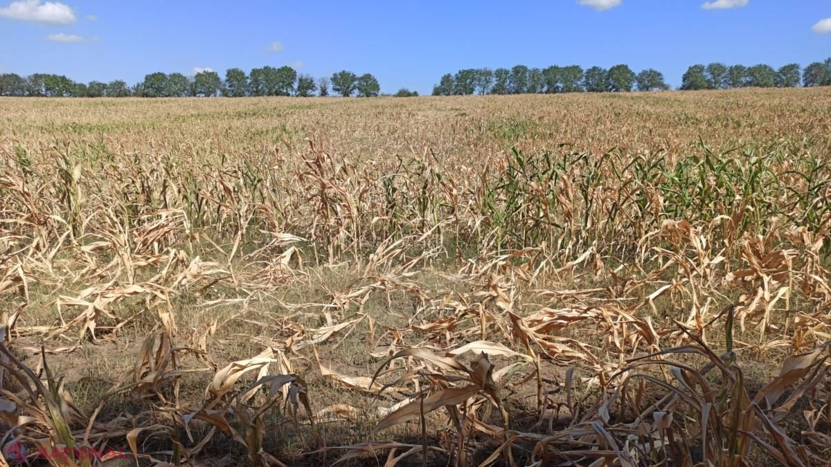Partidul „ȘOR”: „Asociațiile de gospodării agricole mari vor putea face față provocărilor și amenințărilor”