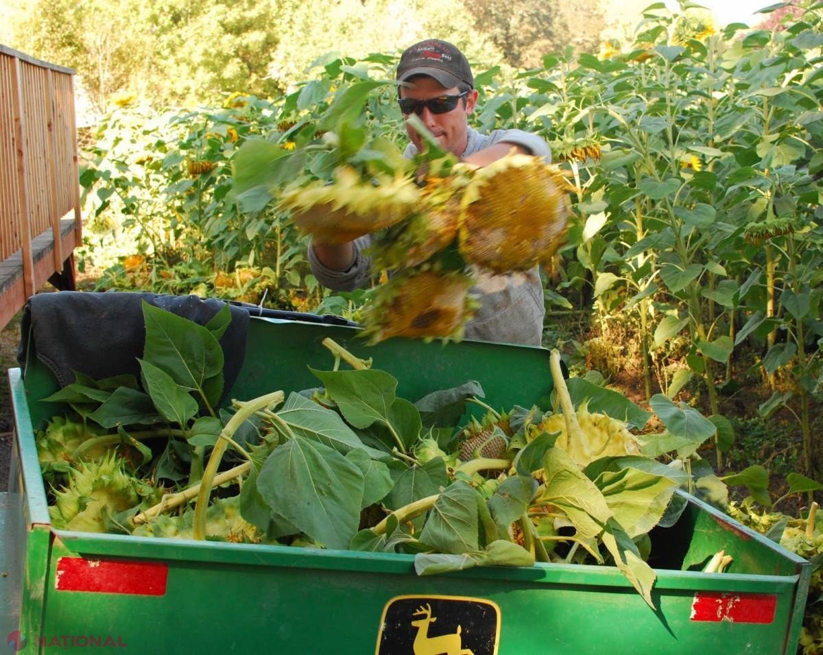 Un produs de LARG consum în R. Moldova s-ar putea IEFTINI