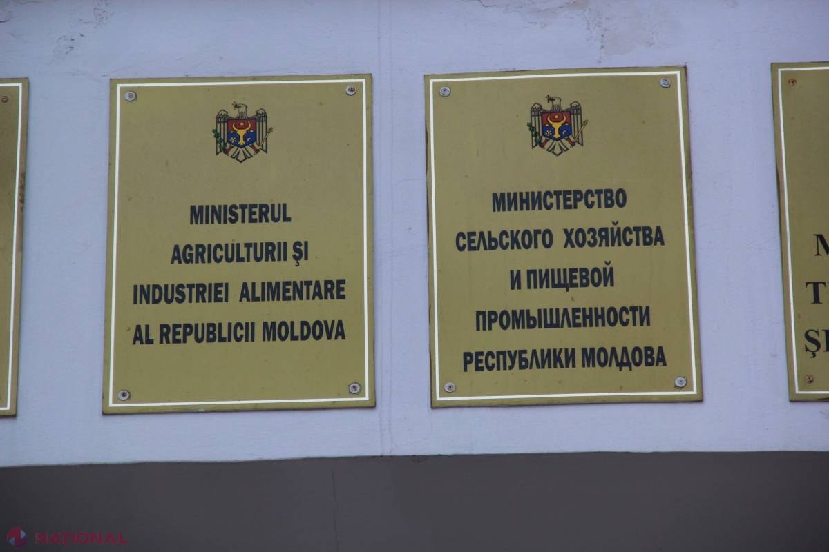 Trei întreprinderi de stat vor fi LICHIDATE