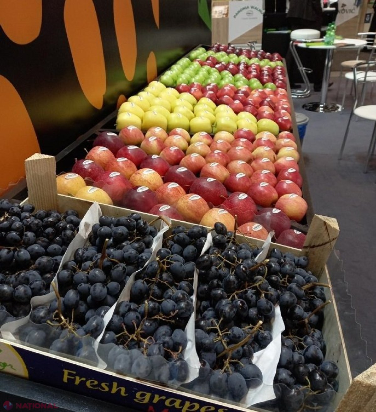 Producători de mere, struguri și prune din R. Moldova participă la o expoziție specializată de la Berlin: Parteneriate comerciale cu importatori din întreaga lume
