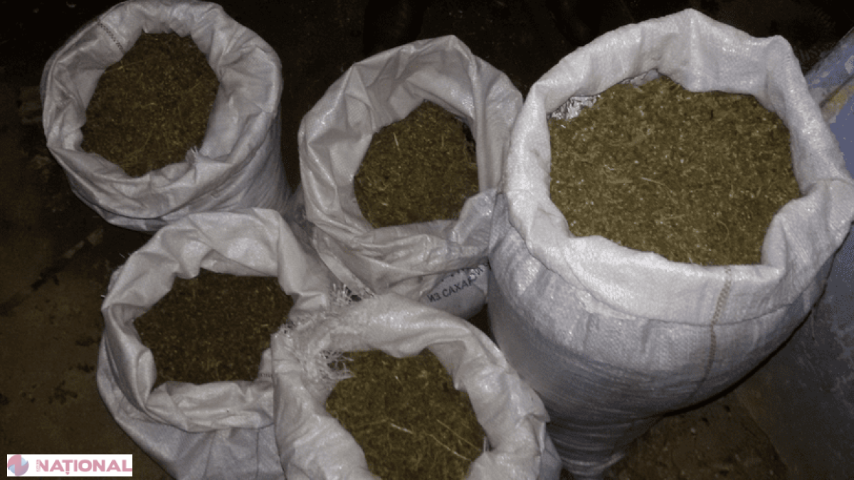 Droguri de patru milioane, confiscate de polițiști