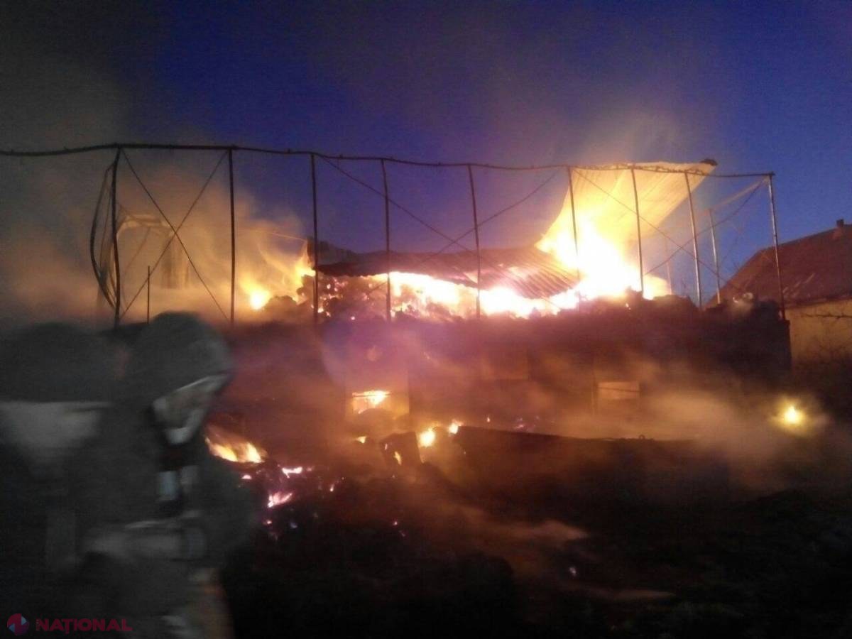 PAGUBĂ: Cinci vaci și patru porci, ARȘI de vii într-un incendiu din R. Moldova