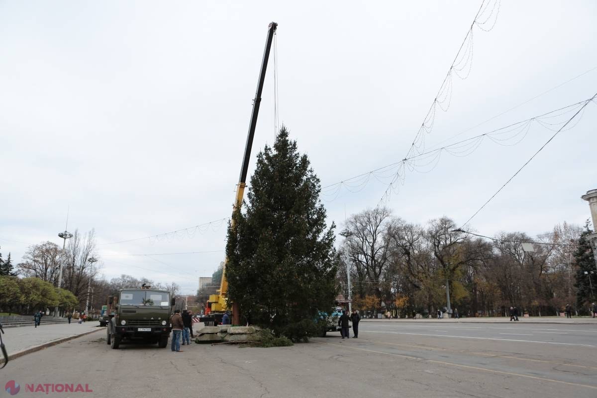 FOTO // Bradul de Crăciun a fost instalat deja în PMAN