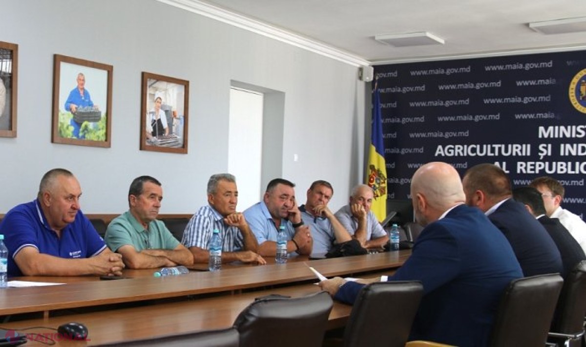 Importurile de cereale ar putea fi licențiate până la sfârșitul anului 2024, la solicitarea fermierilor