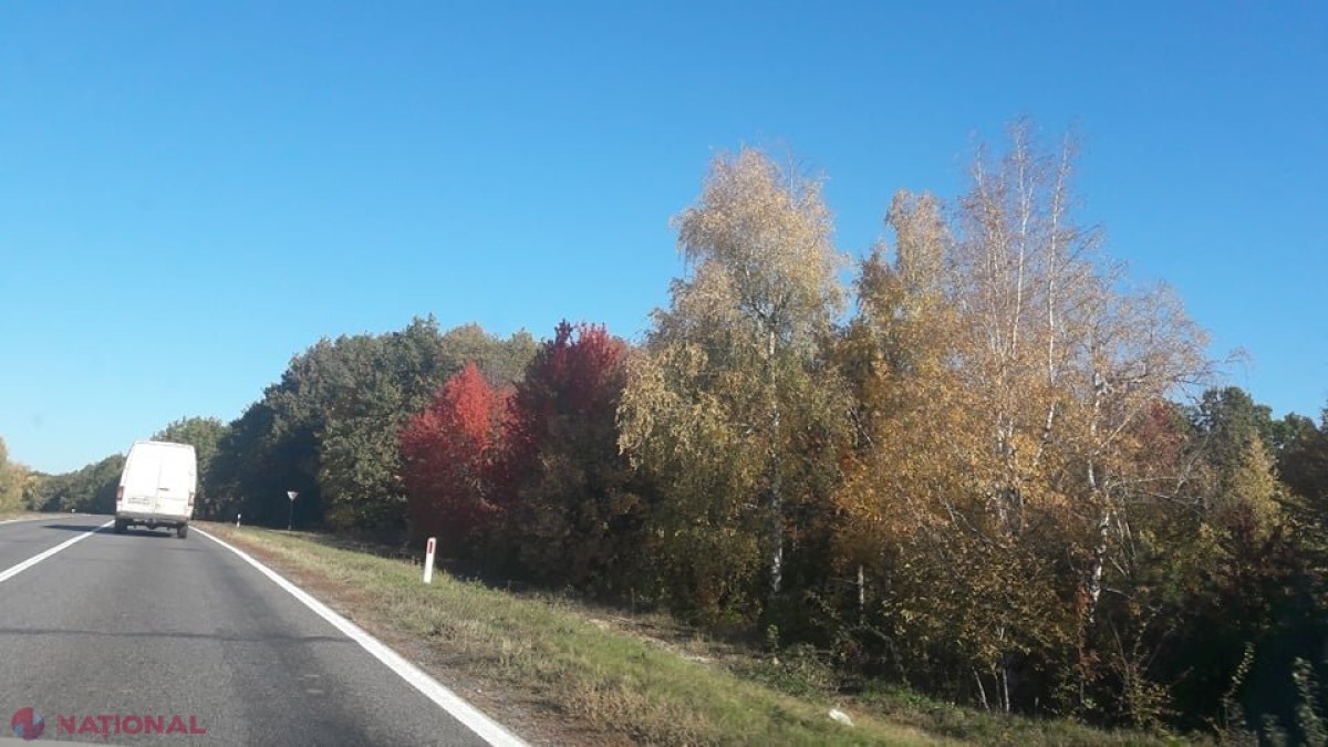 METEO // Cod galben de VÂNT în R. Moldova: De la plus un grad noaptea, la plus 25 de grade Celsius ziua