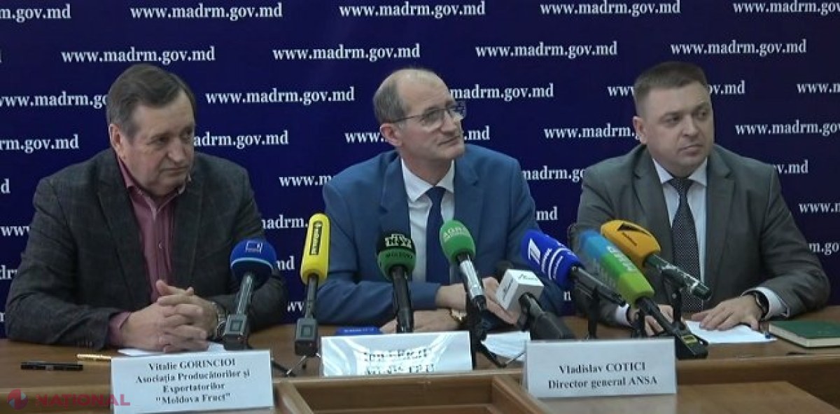 VIDEO // Autoritățile de la Chișinău anunță că Moscova a acceptat încă 205 companii din R. Moldova ca să exporte fructe și legume moldovenești pe piața rusă