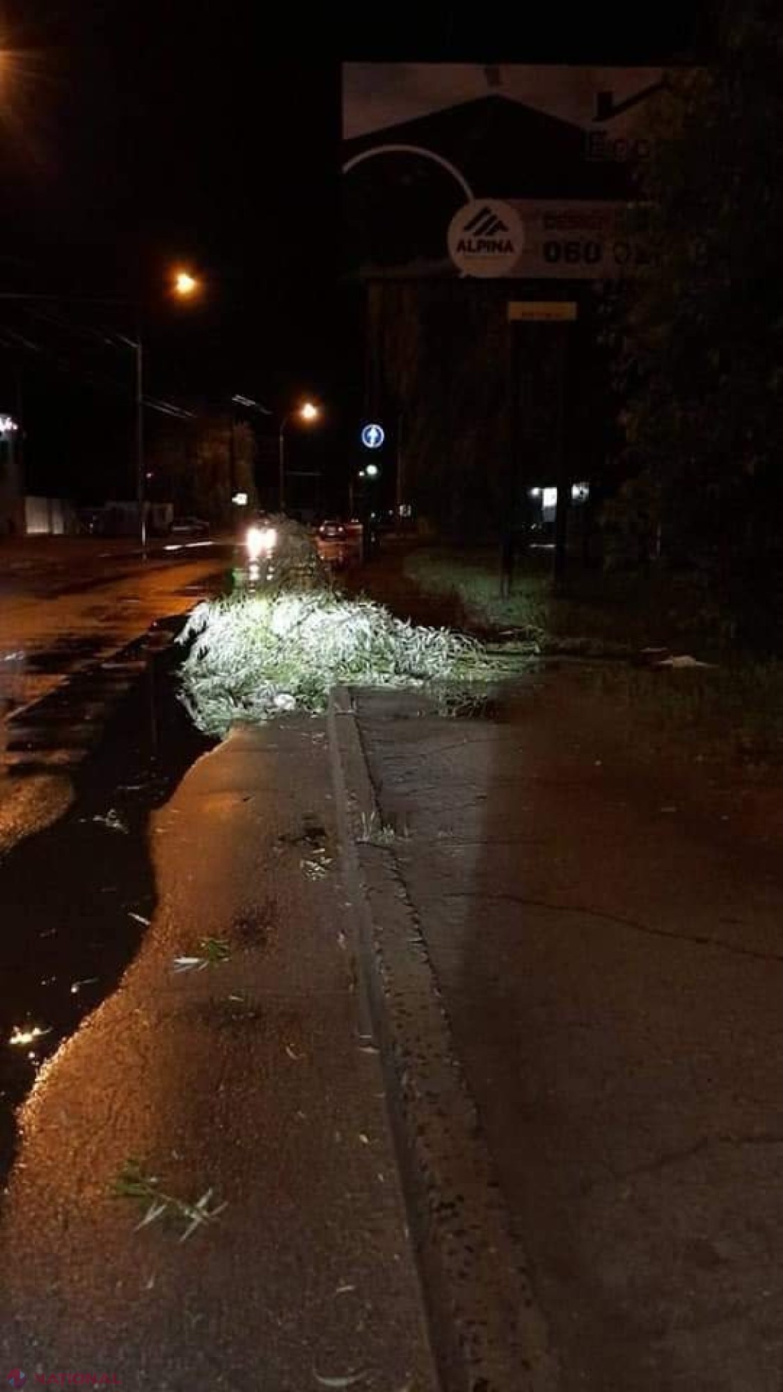 GALERIE FOTO // Furtuna de noaptea trecută a făcut ravagii în Chișinău - mai mulți copaci au fost rupți sau SMULȘI din rădăcină, mașini avariate, garduri doborâte și fire electrice căzute la pământ