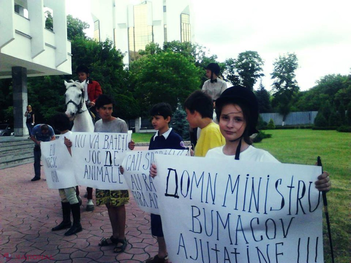 Chişinău // Au rămas cu caii în drum