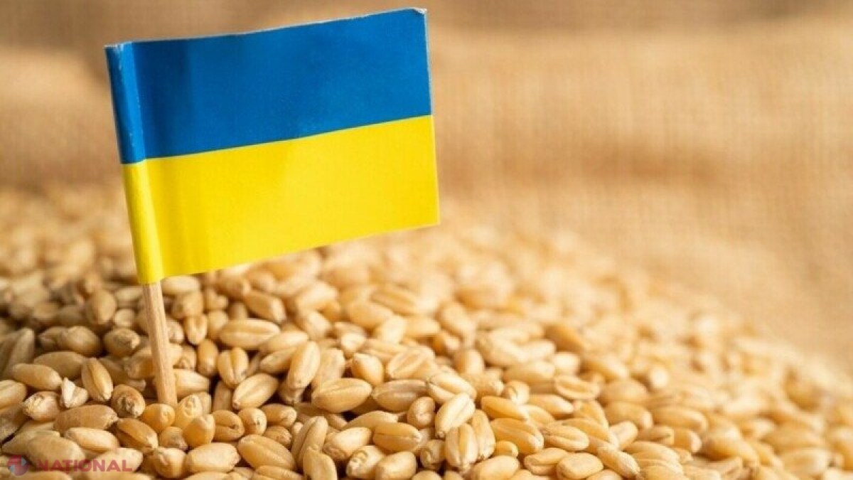 Grâu, ulei, floarea-soarelui, soia sau porumb: Ce cantitate de produse a reușit să exporte Ucraina în luna august prin „coridoarele de cereale” de la Marea Neagră
