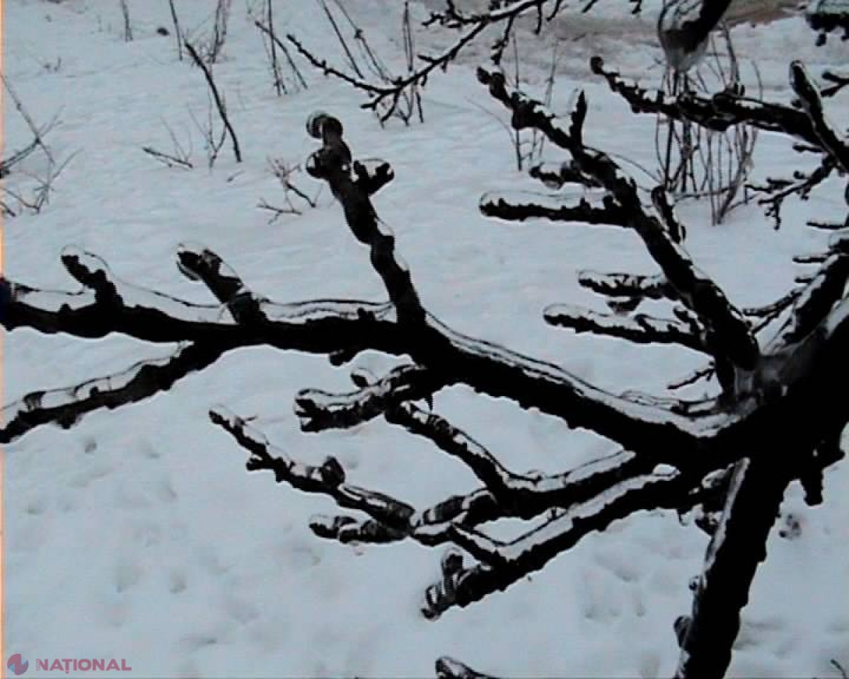 Vine ADEVĂRATA iarnă! Ce ANUNȚĂ meteorologii 