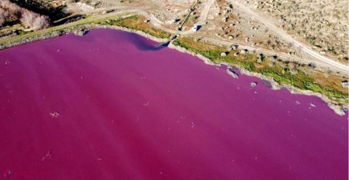 ALARMANT // O lagună din Patagonia a devenit roz deschis