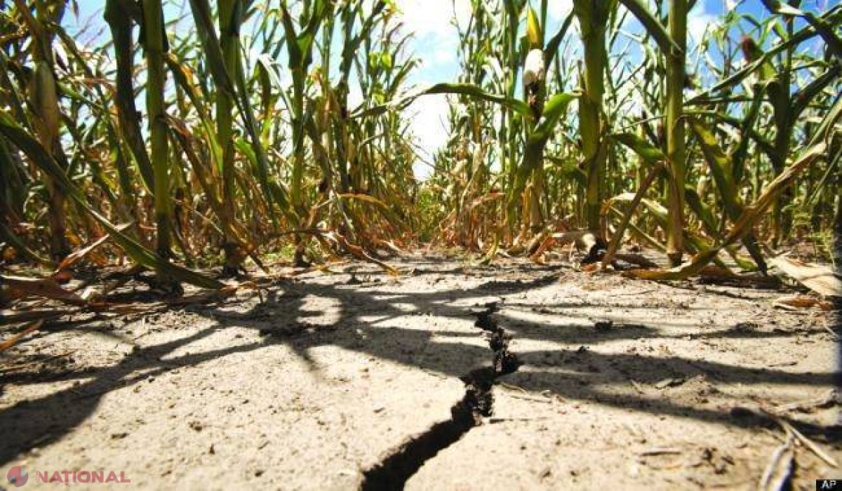 METEO // După zilele toride, urmează o săptămână ploiasă: Ce temperaturi vom avea de luni