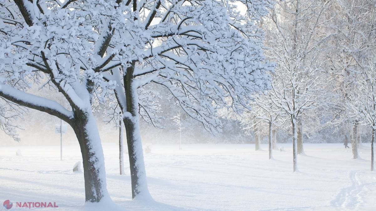 Scăpăm de FRIG și GER! Vremea se ÎNCĂLZEȘTE