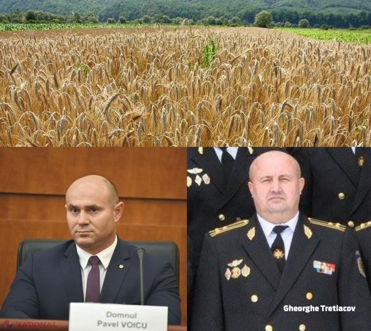 DOC // Șeful ARM este ACUZAT că pune în pericol SECURITATEA statului, după ce ar fi eliberat GRÂUL din rezerva de stat către export: „A fost ARESTAT pentru escrocherie în proporții deosebit de mari. Cerem DEMITEREA acestuia”