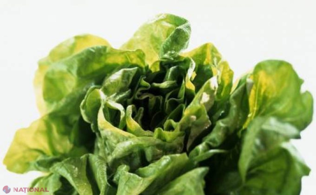 Câteva lucruri SURPRINZĂTOARE despre salata verde