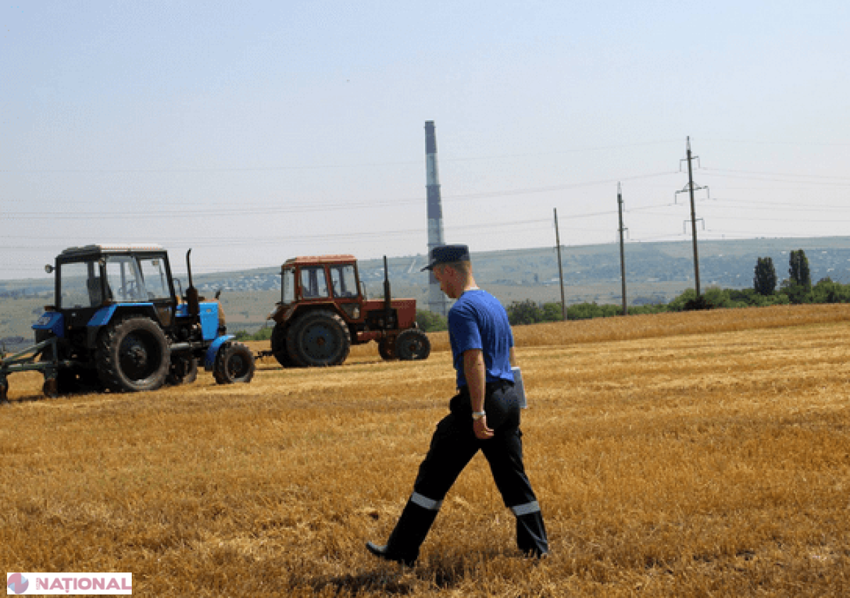 Activitatea secerișului a fost SUSPENDATĂ în zeci de lanuri din R. Moldova. Iată cauza