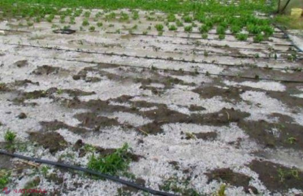 Veste bună pentru agricultorii afectați de calamitățile naturale
