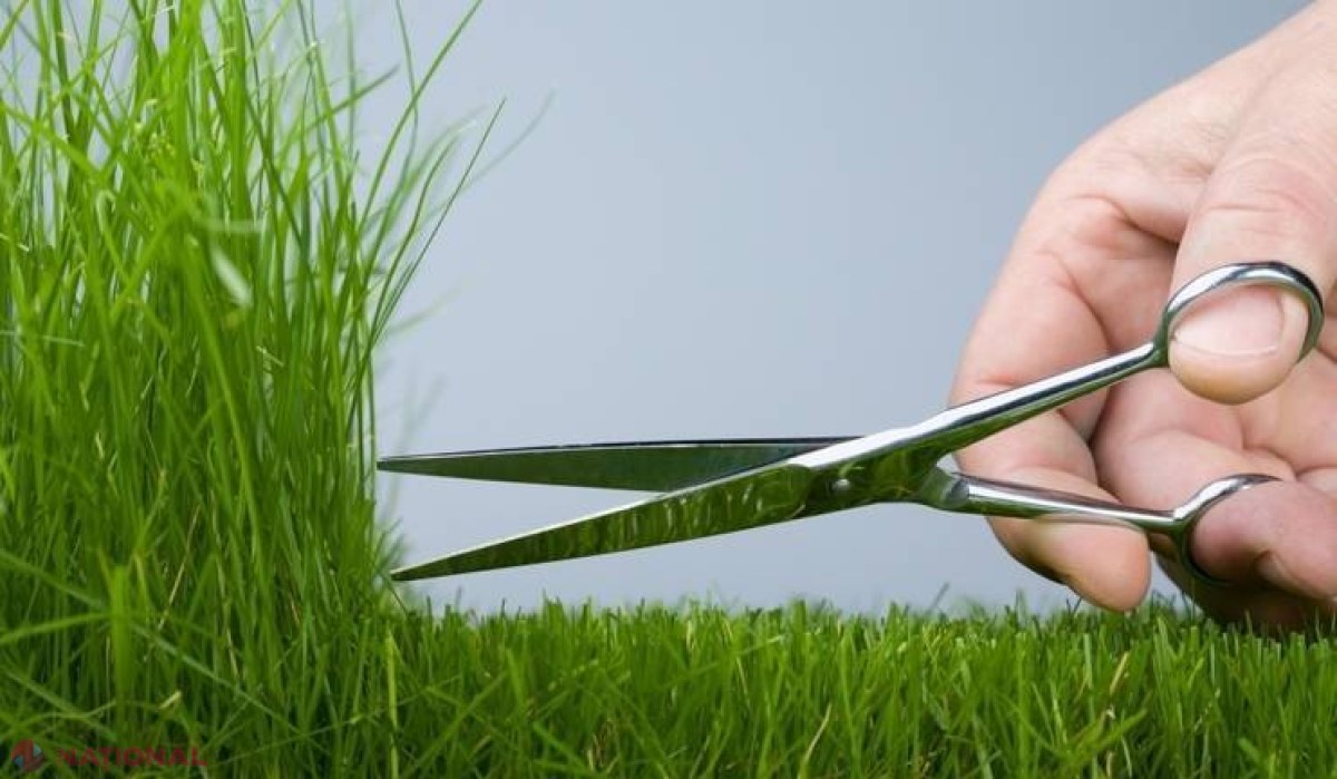 Perfecţionismul - latura întunecată a unei presupuse calităţi