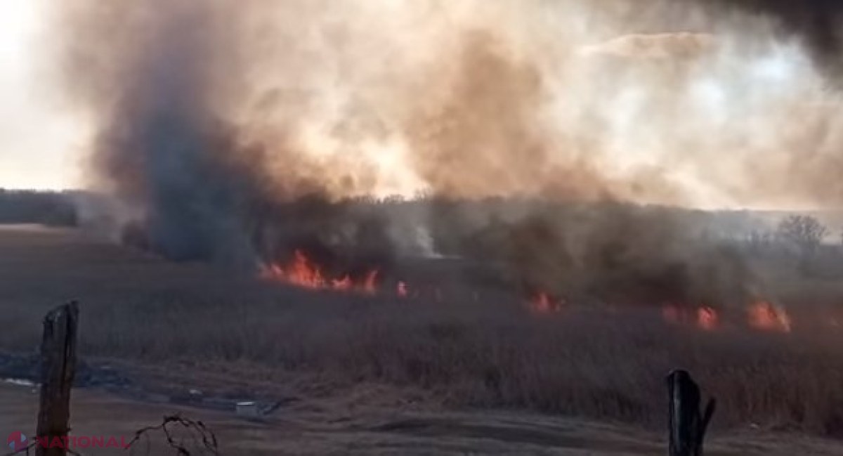 VIDEO // Incendiu de proporții la frontieră: Zeci de hectare de pădure afectate