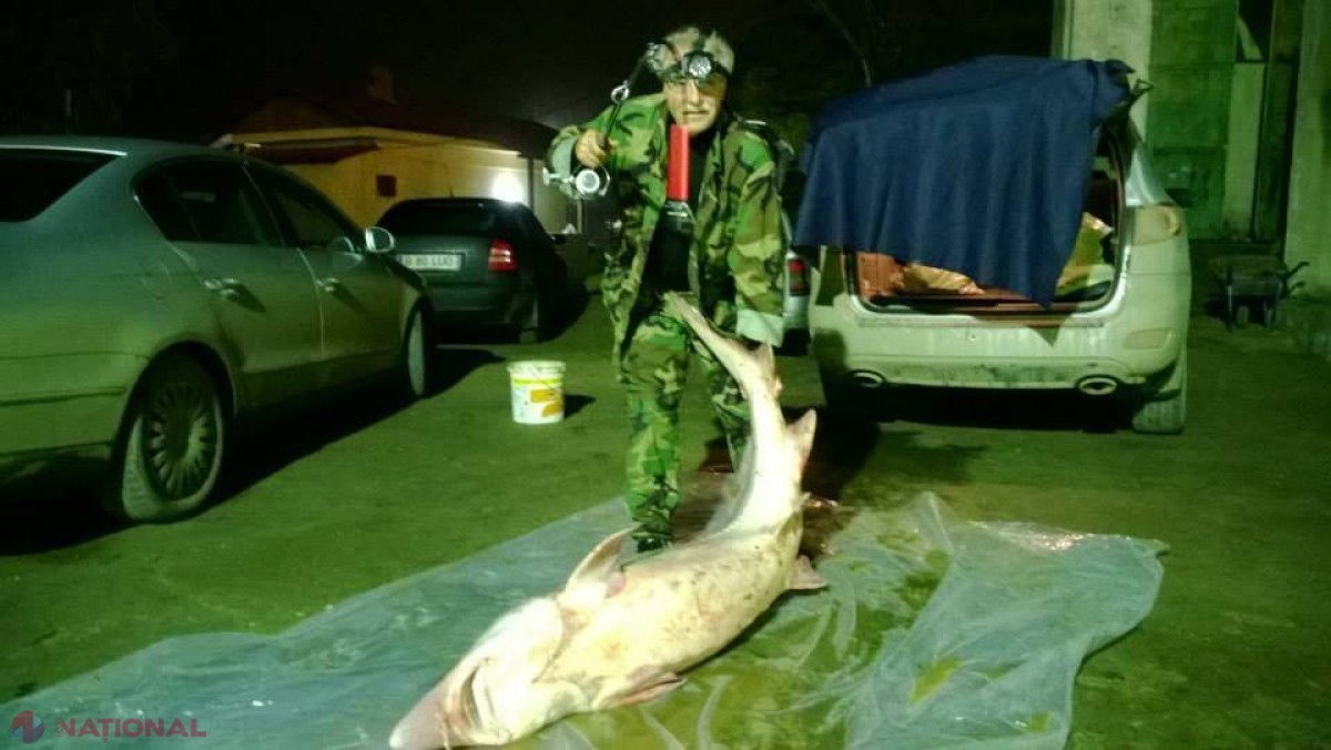 POZA ZILEI // Deputatul moldovean care a prins un pește de 80 de kilograme 