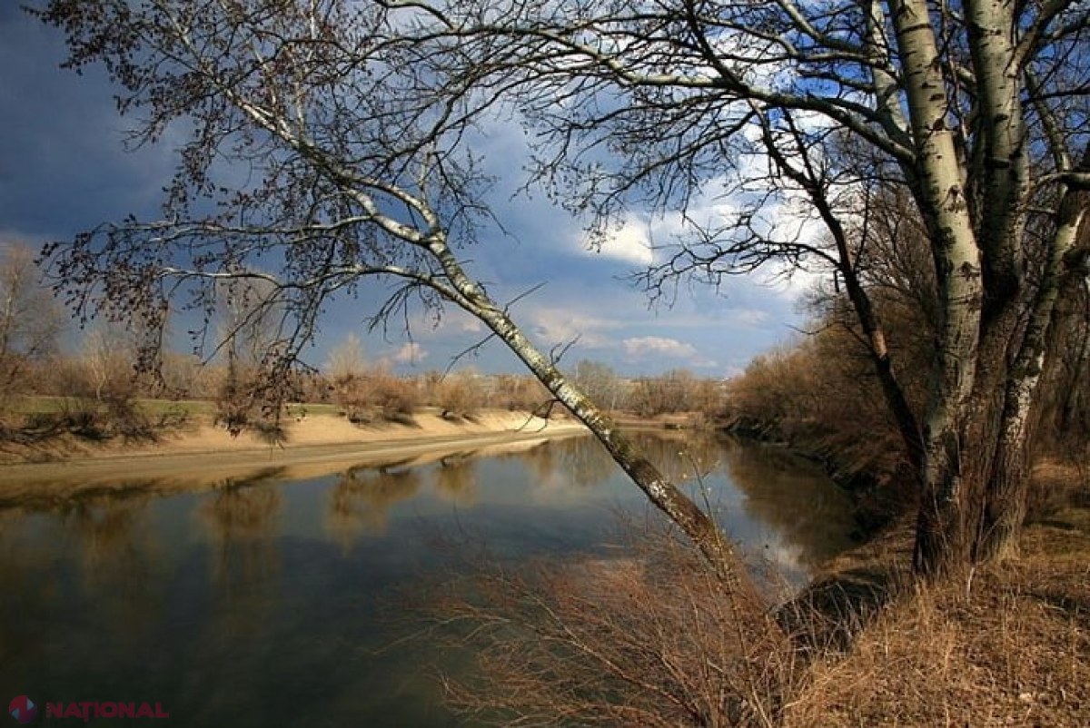 IMPORTANT! Scăldatul în râurile Prut și Nistru este interzis: Singurele excepții