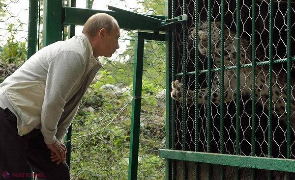 Ce spun astrele despre Vladimir Putin 