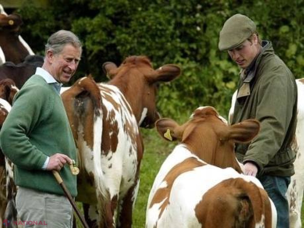 Nu este o glumă! Prințul William a renunțat la cariera militară și se face AGRICULTOR