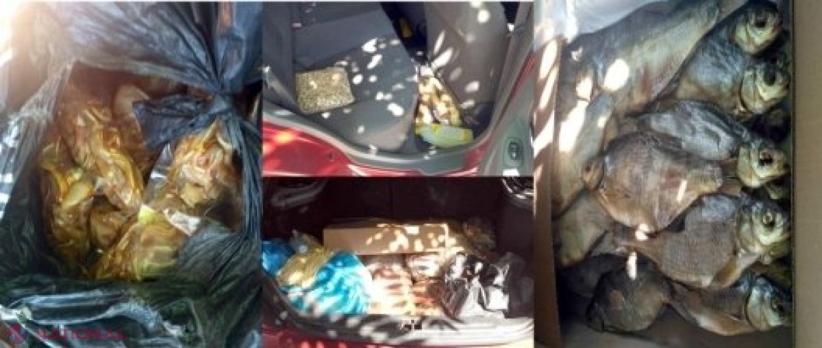 „Business” la Bălți: Urechi de porc și pește sărat, pe „sub tejghea”