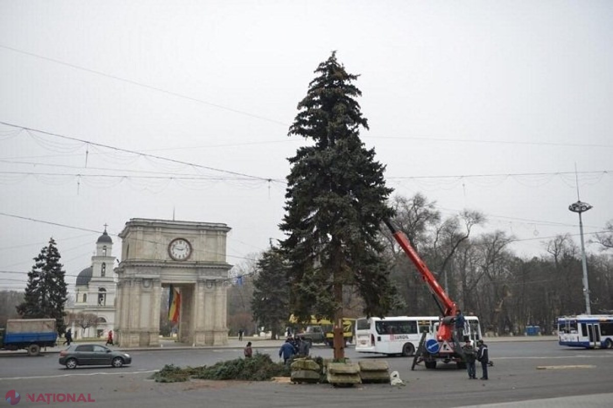 Brad ARTIFICIAL de 20 de metri, în centrul Chișinăului, inaugurat pe 5 decembrie