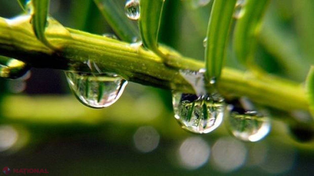 METEO // Cod galben anunțat de meteorologi: Vânt și ploi PUTERNICE în R. Moldova. Cum va fi vremea în zilele următoare