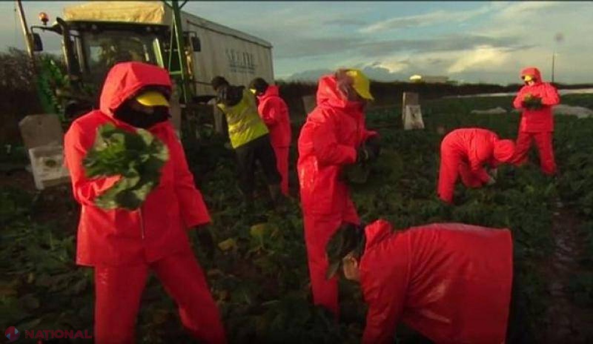 Un EXPERIMENT al jurnaliștilor de la BBC1 arată de ce românii și bulgarii sunt la mare căutare în Marea Britanie