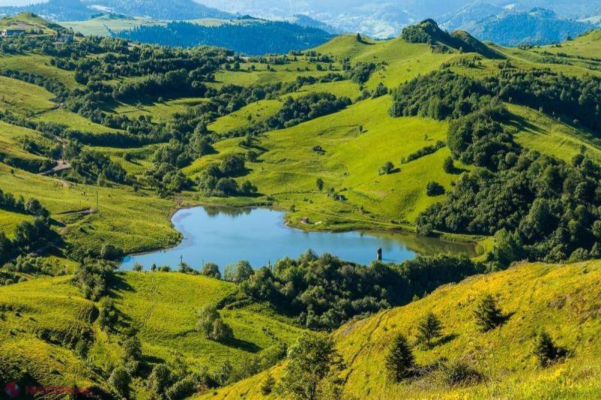 „Răzbunarea” României la PROCESUL intentat de Gabriel Resources în dosarul cianurii de la Roșia Montană