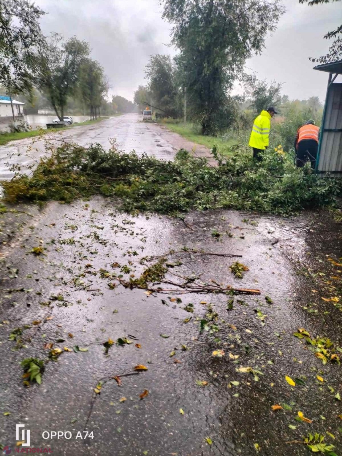 Trei sectoare de drumuri publice naționale, afectate de ploile abundente din weekend. Copacii doborâți și acumulările de nămol și pietriș au blocat circulația