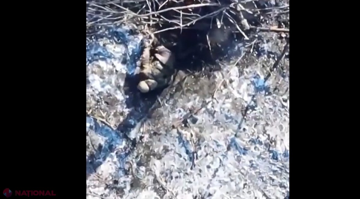 VIDEO +18 // Noi imagini dramatice cu soldați ruși loviți din DRONĂ de militarii ucraineni. Soldații lui Putin, ținte sigure 