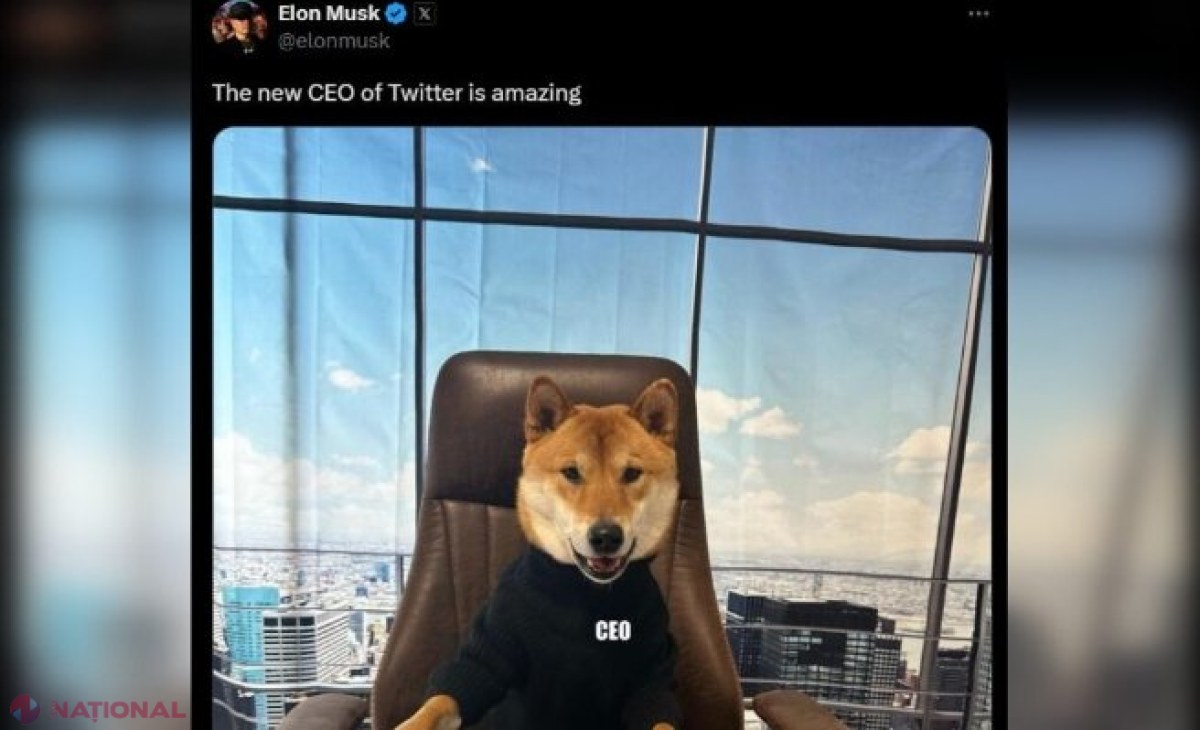 Ce animale de companie are Elon Musk, mogulul tehnologiei ales de Donald Trump să conducă viitorul „Departament al Eficienței Guvernamentale”