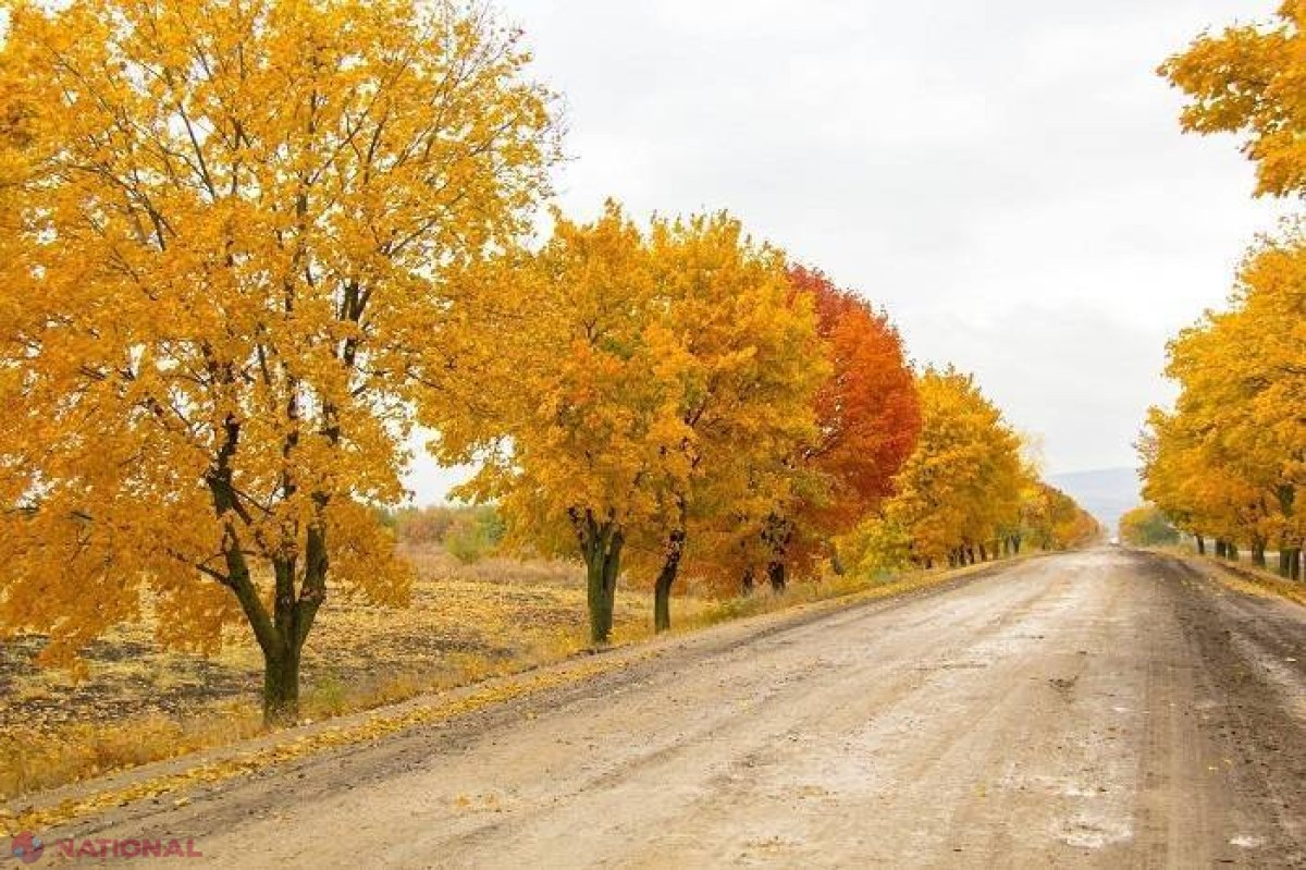 METEO // Vine FRIGUL! ZERO grade Celsius noaptea și între 5 și 10 - ziua