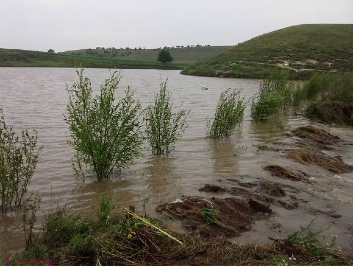 SUTE de hectare de culturi agricole, DISTRUSE în urma ploilor