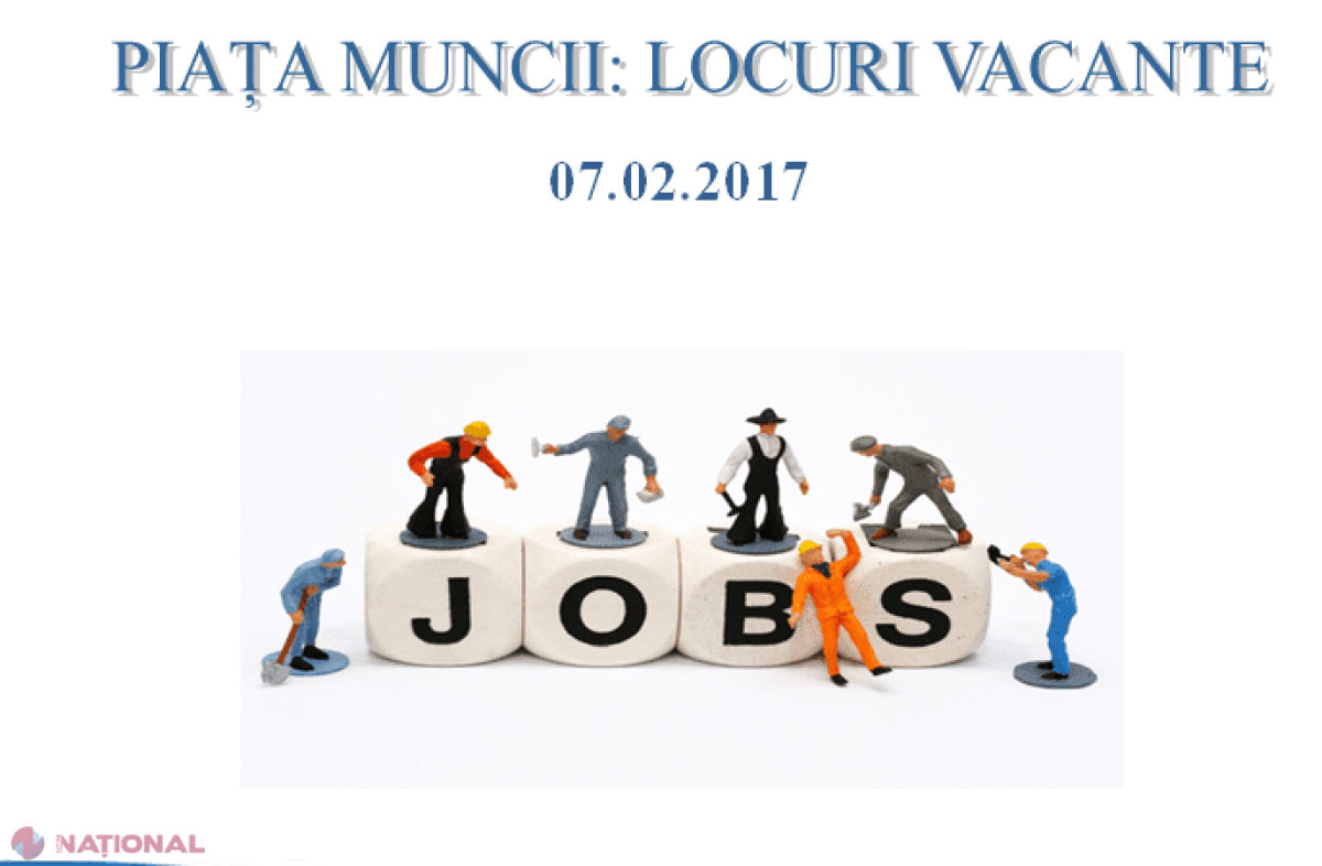 Cea mai CĂUTATĂ profesie acum în R. Moldova! Nu necesită studii superioare