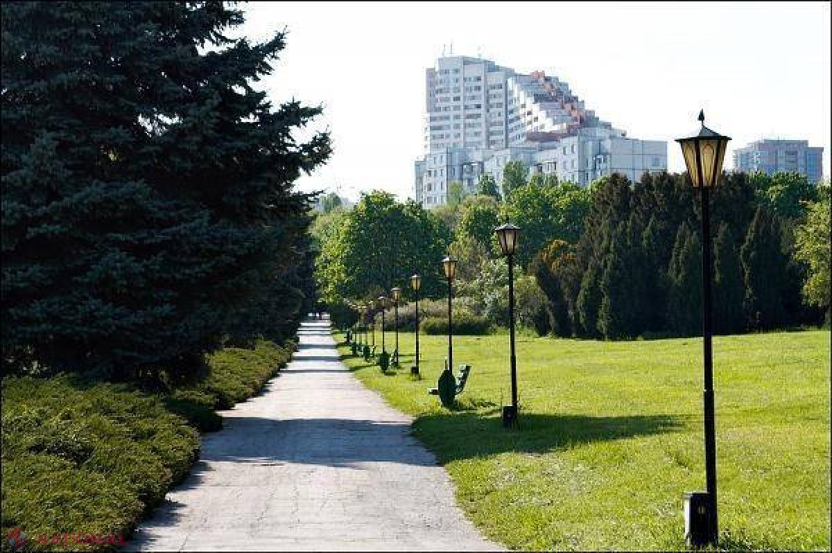 SCANDAL la Grădina Botanică. Un pretendent la titlul de doctor în biologie este acuzat că a prezentat o teză care NU prezintă interes științific