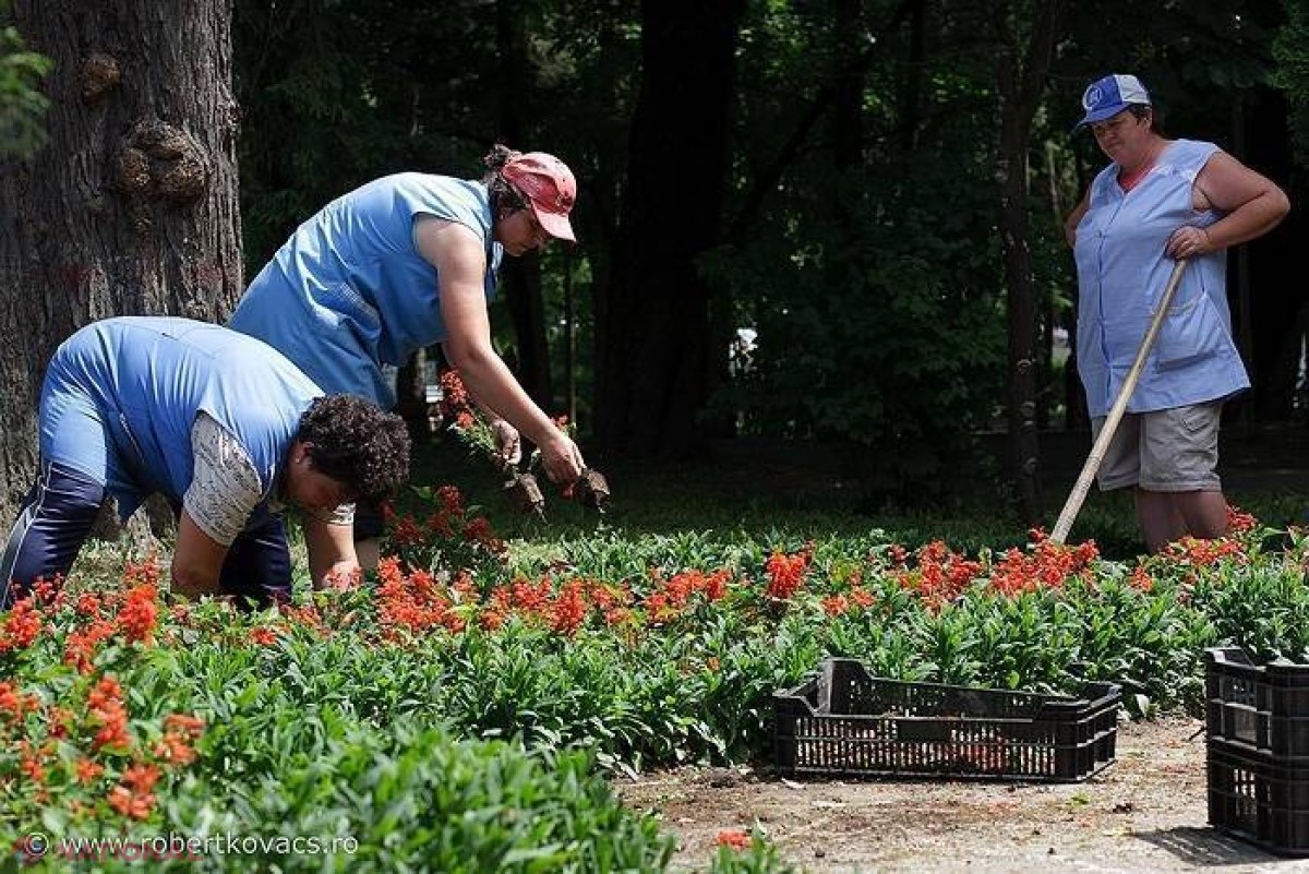 Directorul Parcului „Dendrarium” și-a angajat soția pentru a învăța grădinăritul  