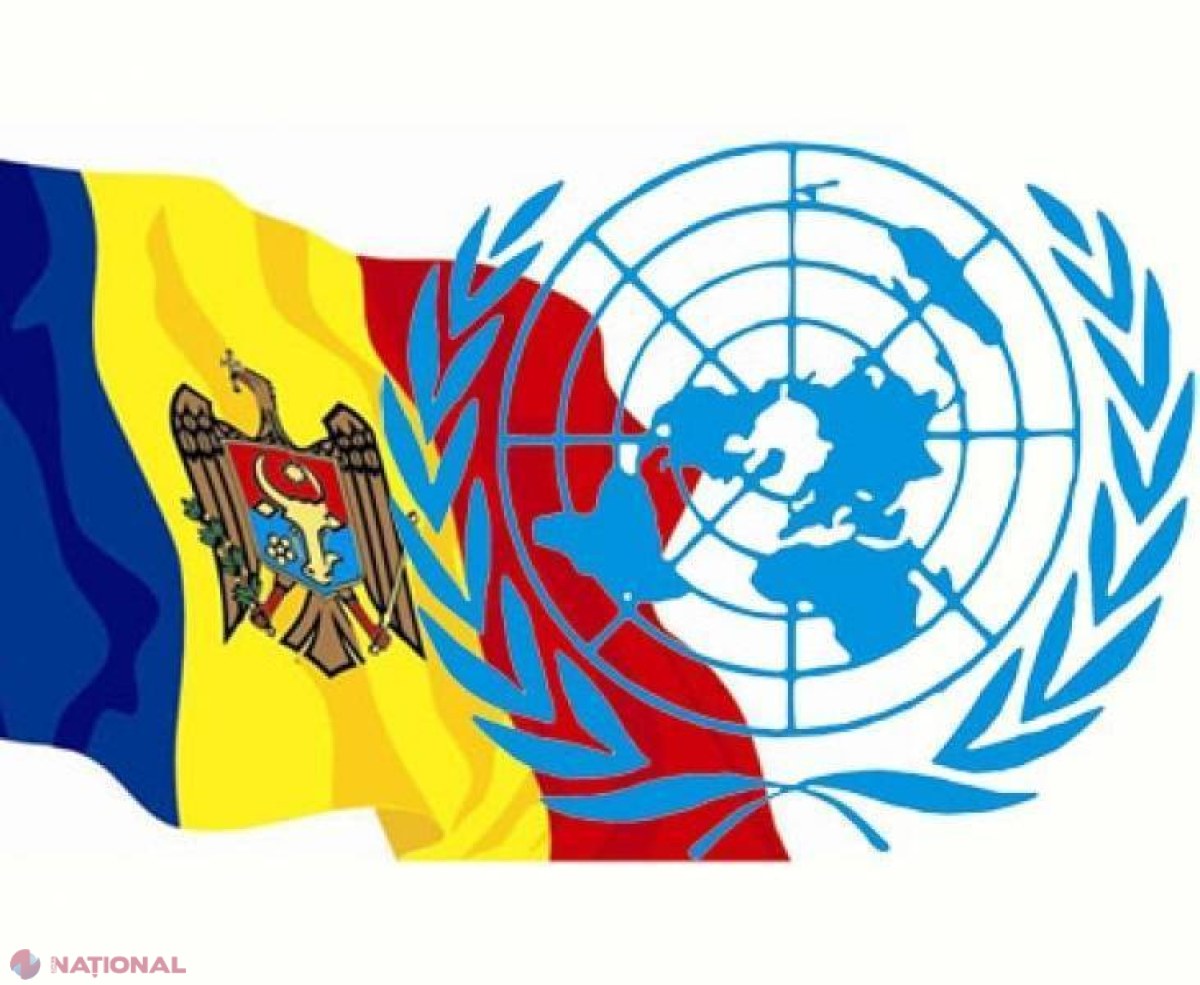 Ninsoarea din aprilie: ONU ajută R. Moldova cu generatoare de energie electrică, motoferestraie și combustibil