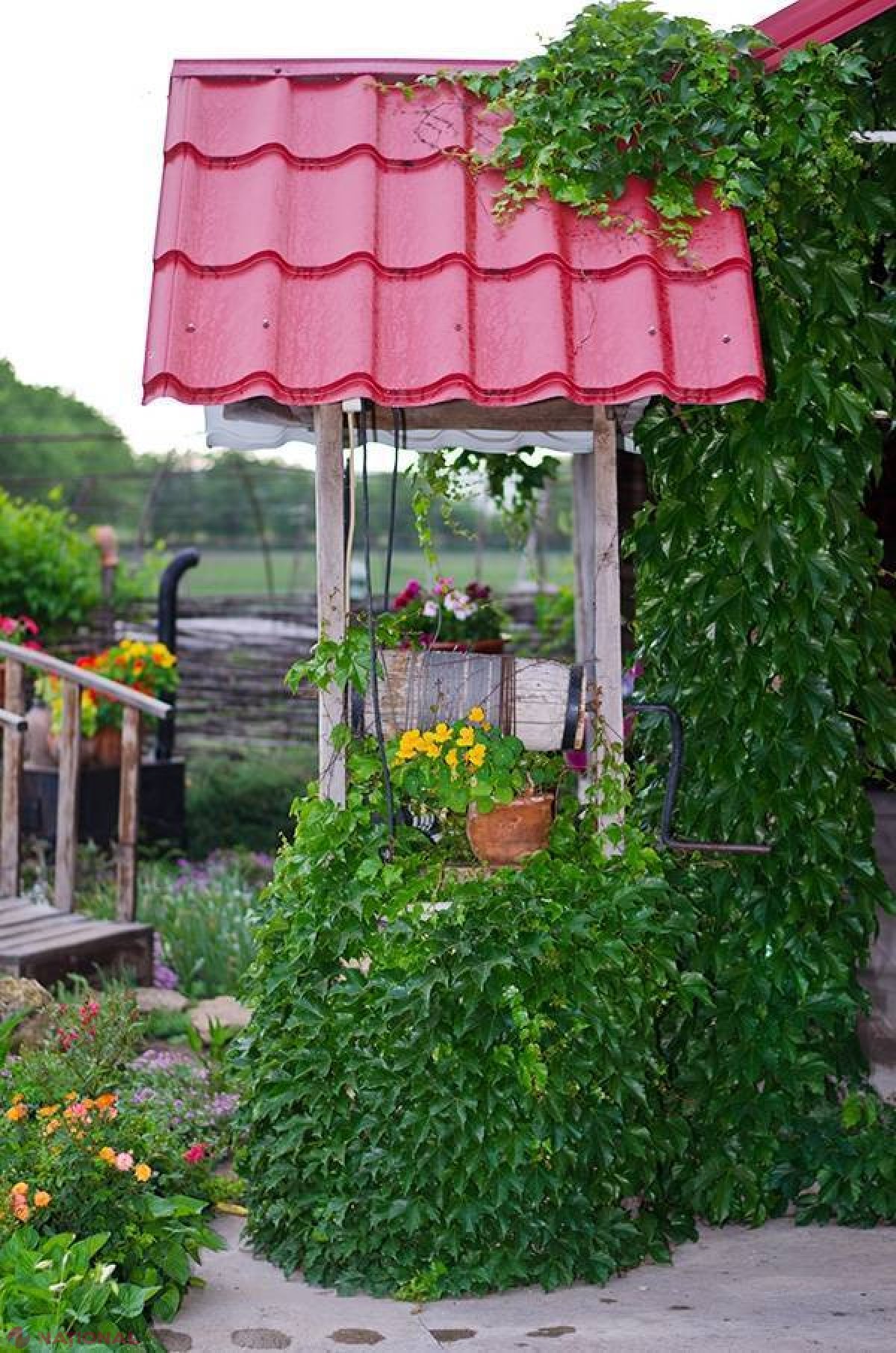 Paradisul de la Slobozia-Dușca